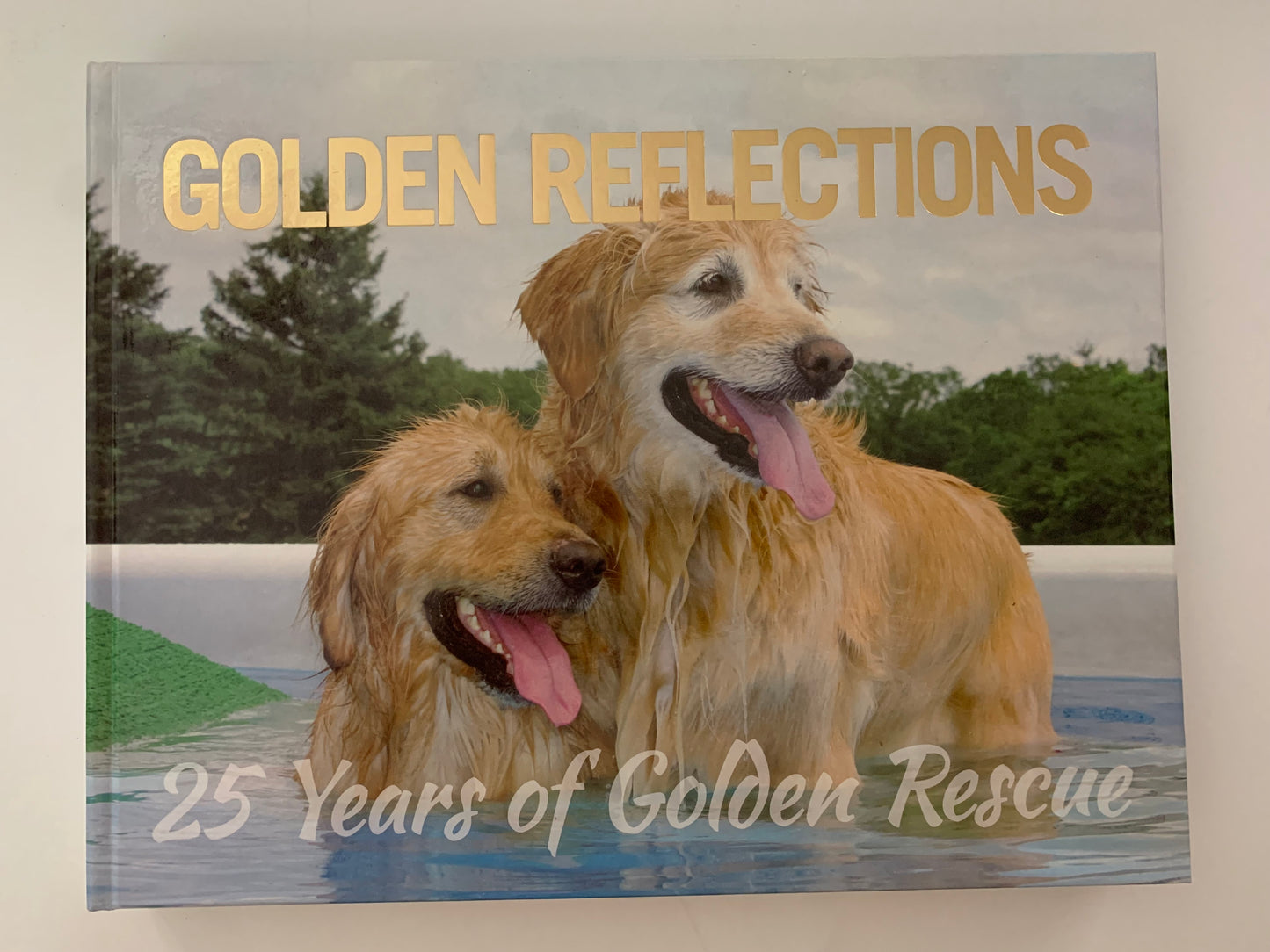 Golden Reflections