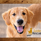 Customizable Jigsaw Puzzle