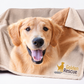 Customizable Sherpa Blanket