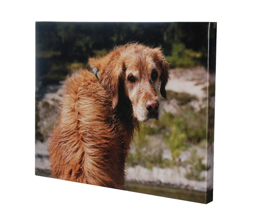 Canvas (Gallery) - Personalized