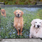Canvas (Gallery) - Personalized