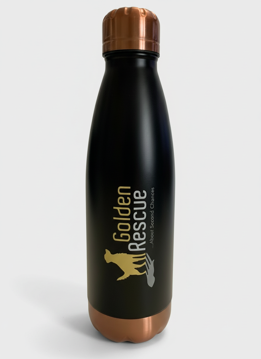 Thermal Bottle