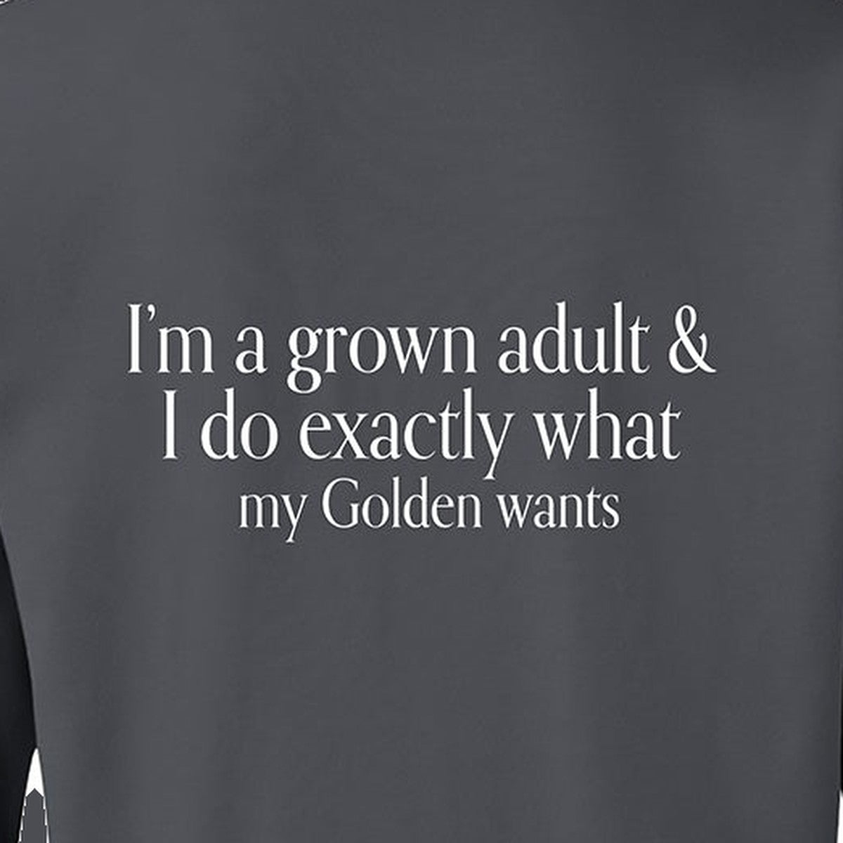 Sweatshirt, Grown Adult, Grey, saying close-up